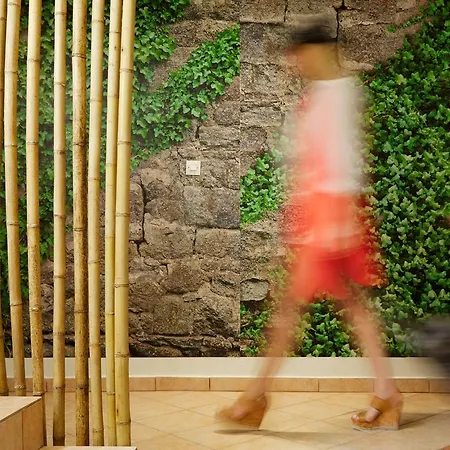 Menel The Tree House- Adults Only 2*